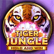 Luật chơi Slot Games tại ev888 link mới