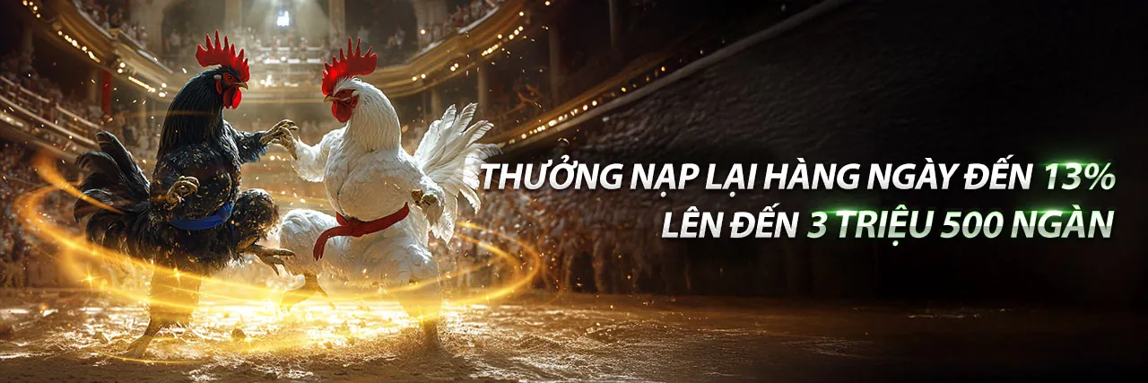Đấu trường đá gà trực tuyến kịch tính tại EV888 link mới